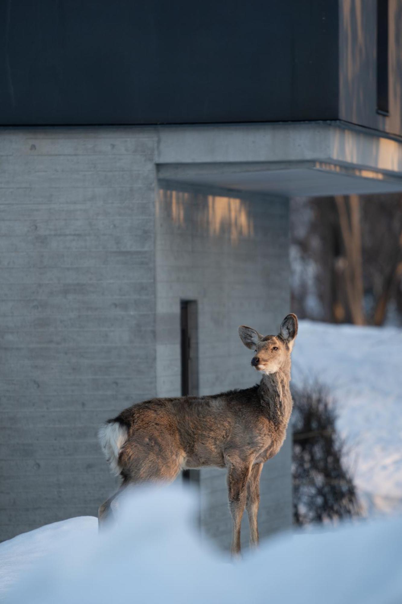Chalet Ivy Jozankei Sapporo Exterior photo